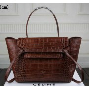AAA Replica Celine Belt Bag Croco Leather C3368 Brown VS09283