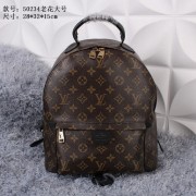 Cheap Louis Vuitton M50234 Monogram Canvas Michael Onyx Medium Backpack VS06991