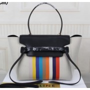 Imitation Celine Belt Bag Original Canvas C33681T Rainbow VS01913