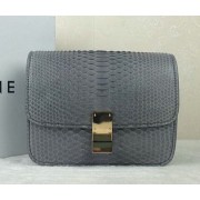 Replica Celine Classic Box Small Flap Bag Genuine Snake C11042 Grey VS04765