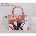 Christian Dior Alstroemeria Flower Lady Dior Bag CD0523 Orange VS09409