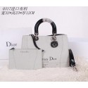 Dior Cruise 2015 Show Original Canvas Tote Bag CD0317 Grey VS09277