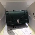 Dior Diorama Bag Original Leather CD12L Green VS01233