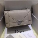 Dior Diorama Bag Original Leather CD12L Grey VS03485