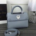 Dior Mini Diorever Bag Grey Calfskin Leather D66555 VS05915