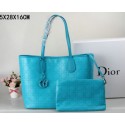 Dior Panarea Bag Rosato Canvas D99016 Blue VS01724