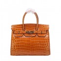 Hermes Birkin 30CM Tote Bags Wheat Iridescent Croco Leather Gold VS07541