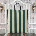 High Imitation Celine Cabas CCEUR Bag Canvas Lambskin 11072 Green VS08037