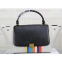 Imitation AAA Celine Trapeze Bag Original Canvas CT3342 Rainbow VS03715