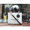 Imitation Dior Cruise 2015 Show Original Canvas Lady Dior Bag CD9904 Grey VS03644