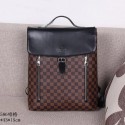 Louis Vuitton Damier Ebene Canvas Newport Backpack N41586 VS06249