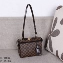 Louis Vuitton Damier Ebene Canvas Speedy Amazon Bag PM N42210 VS06517