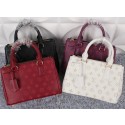 Louis Vuitton Litchi Leather Tote Bag M50134 VS01800