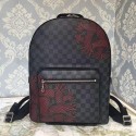 Louis Vuitton Red Rope Pattern Josh Backpack N41712 VS01396