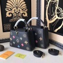 Louis Vuitton Taurillon Leather Capucines PM Black M54311 VS03261