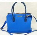 Luxury miu miu Madras Goat Leather Top Handle Bag RL0097 Blue VS08008