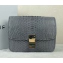 Replica Celine Classic Box Small Flap Bag Genuine Snake C11042 Grey VS04765