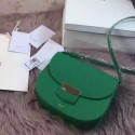 Replica Celine Trotteur Bag Litchi Leather CTA4298 Green VS06026