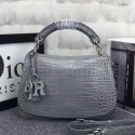 Replica Dior Dune Flap Bag Grey Croco Leather D41110 VS09525