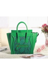 Celine Micro Luggage 3307 in Green Original Leather with Real Snakeskin VS01590